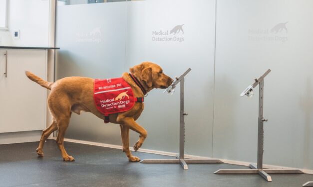 BETA International Partners with Medical Detection Dogs as Charity of the Year