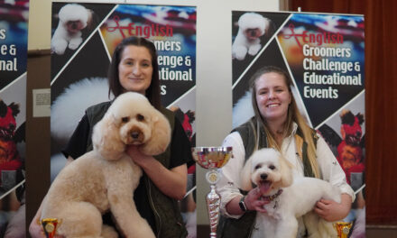K9 Anytime Groomers Win National Awards