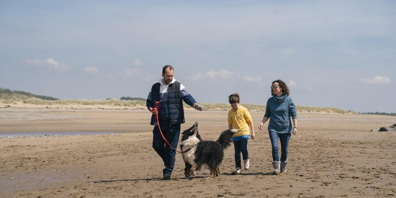 Visit Wales Launches Unique Dog-Friendly Tourism Campaign