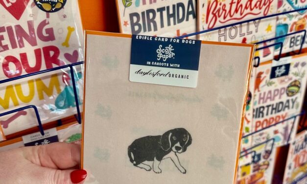 Scoff Paper Partners with Leading Retailers for Edible Dog Greetings Cards