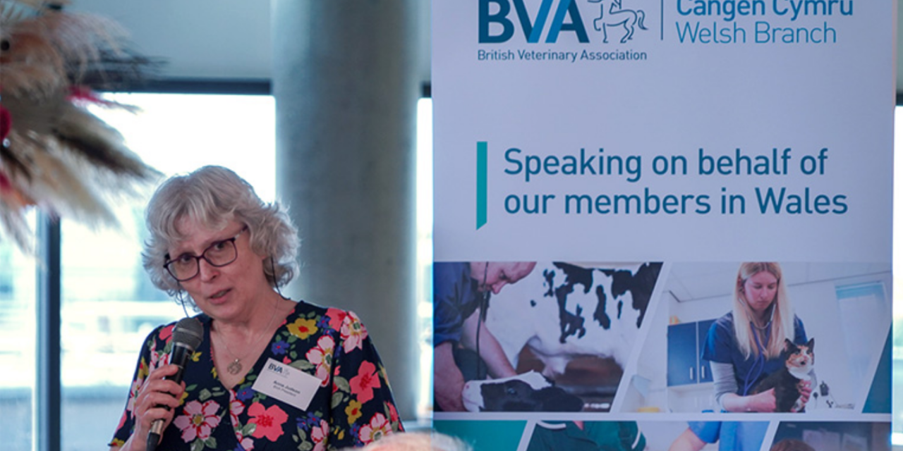 BVA Calls for Urgent Veterinary Practice Regulation Reform in Wales