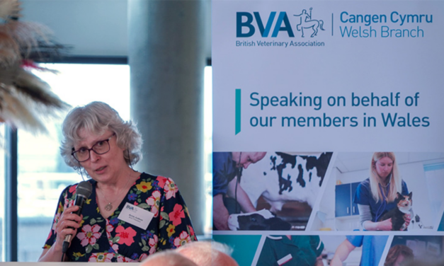 BVA Calls for Urgent Veterinary Practice Regulation Reform in Wales