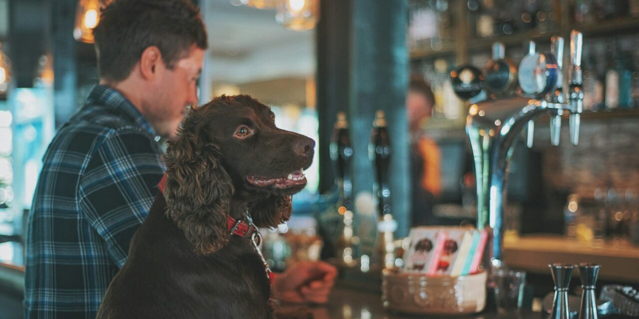Raising the Bar-K: Rover Seeks Ultimate Dog-Friendly Pub