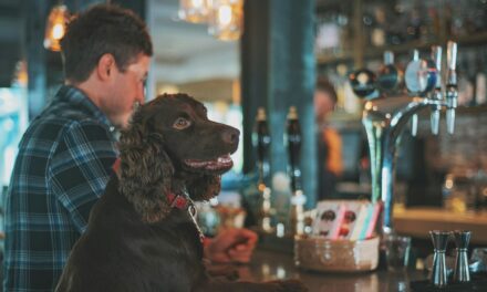 Raising the Bar-K: Rover Seeks Ultimate Dog-Friendly Pub