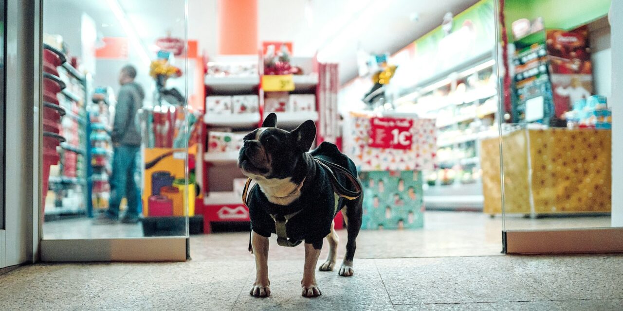 National Pet Shop Day to Celebrate Services and Solutions on the High Street