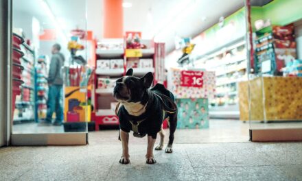National Pet Shop Day to Celebrate Services and Solutions on the High Street