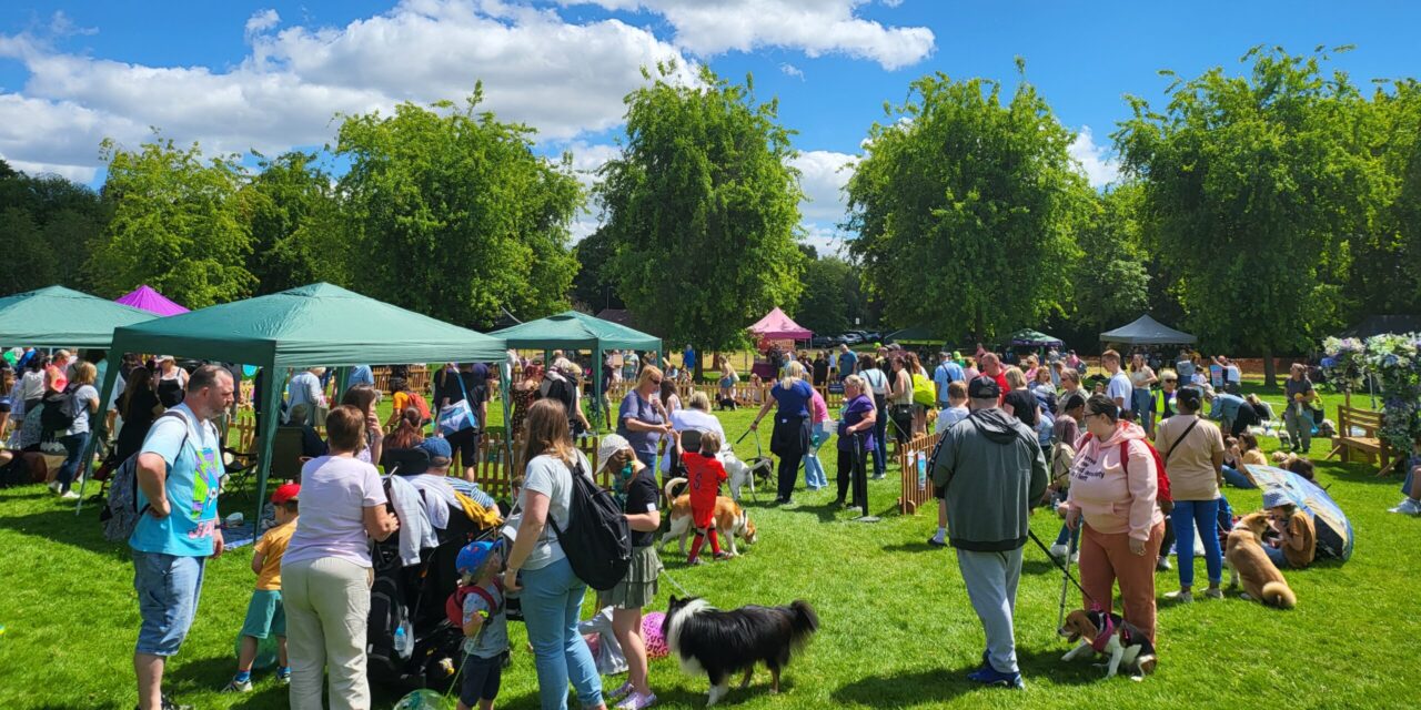 Birmingham Dogs Home Raises Over £5,000 at Family Fun Day