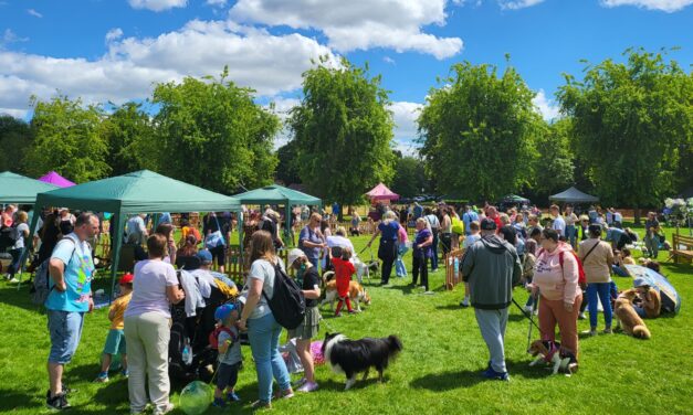 Birmingham Dogs Home Raises Over £5,000 at Family Fun Day