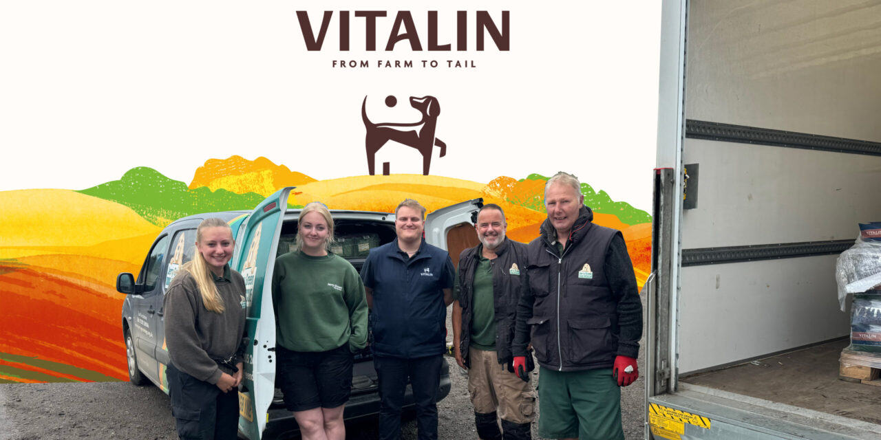 Jerry Green Dog Rescue Unveils New Feeding Partnership with Vitalin