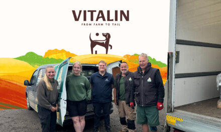 Jerry Green Dog Rescue Unveils New Feeding Partnership with Vitalin