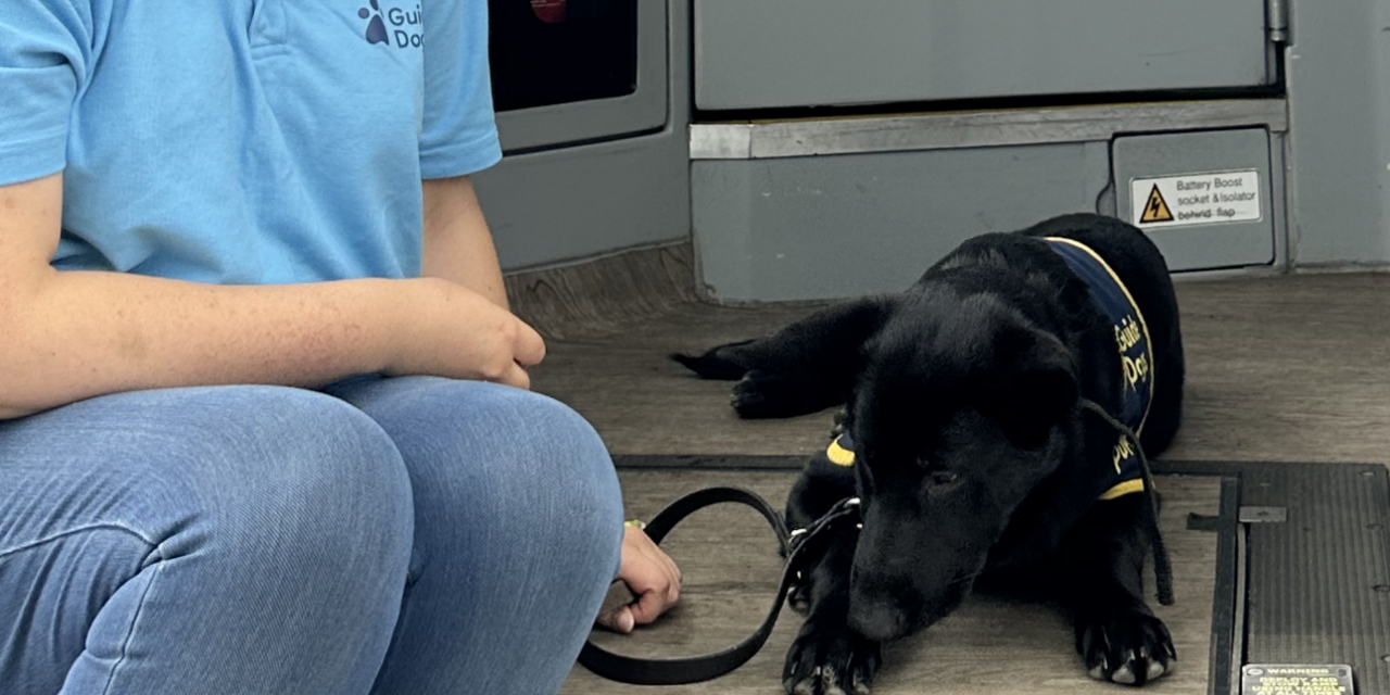 Gloucestershire Bus Company Supports Guide Dog Trainers with Free Travel