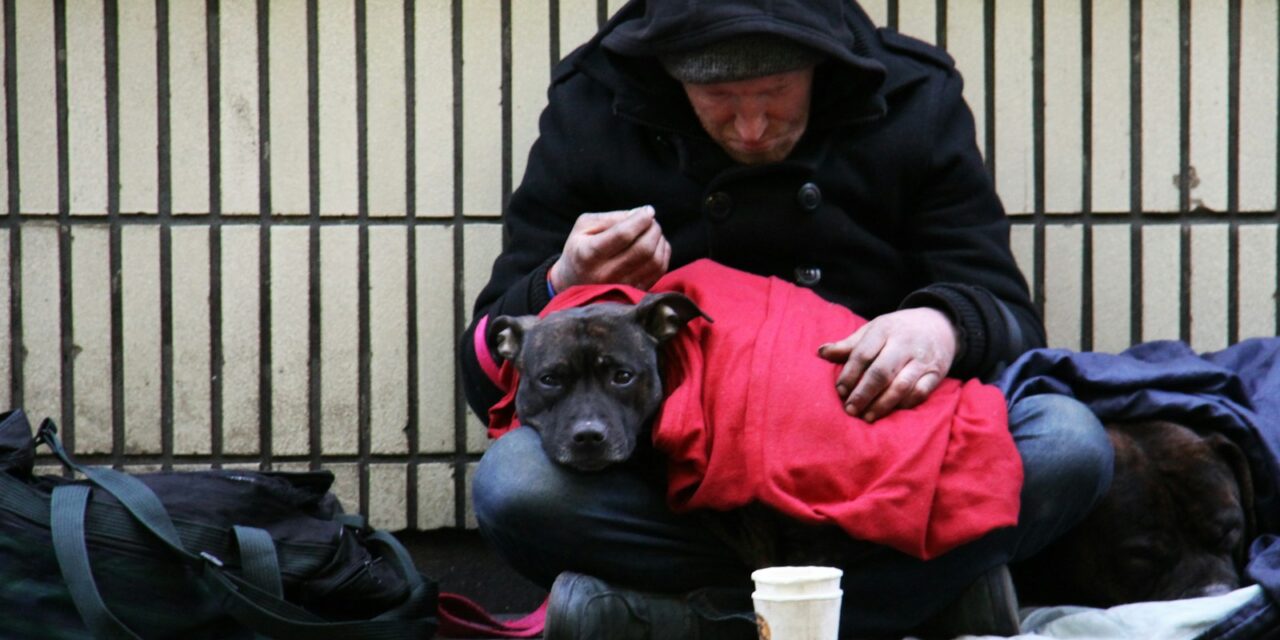 StreetLink Partners with StreetVet and Street Paws to Support Homeless Individuals and Their Pets