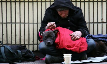 StreetLink Partners with StreetVet and Street Paws to Support Homeless Individuals and Their Pets