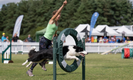 Kennel Club’s International Agility Festival 2024: A Showcase of Canine Talent