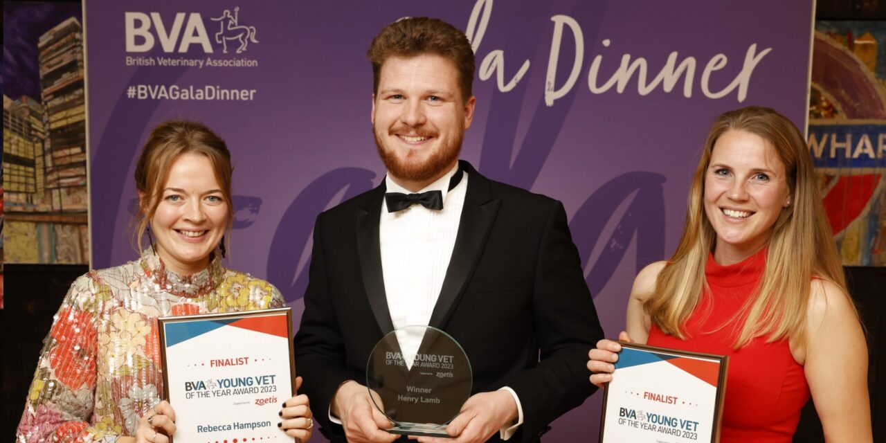 British Veterinary Association Announces New Awards Dinner to Honour Veterinary Excellence