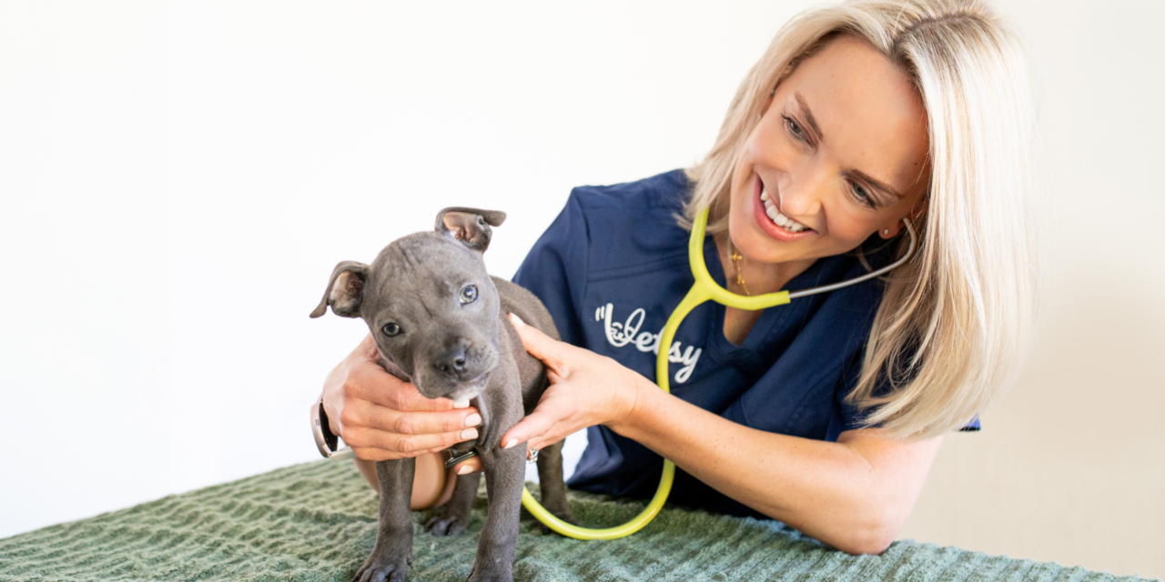 New Online Vet Service Offers On-Demand Pet Care from Home