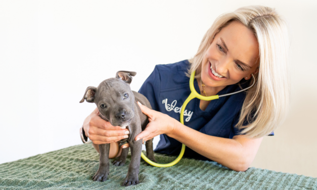 New Online Vet Service Offers On-Demand Pet Care from Home