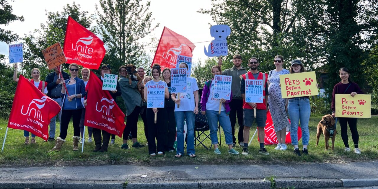 Cardiff Valley Vets Petition Reaches 50,000 Signatures Amid Ongoing Pay Dispute