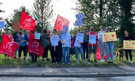 Cardiff Valley Vets Petition Reaches 50,000 Signatures Amid Ongoing Pay Dispute