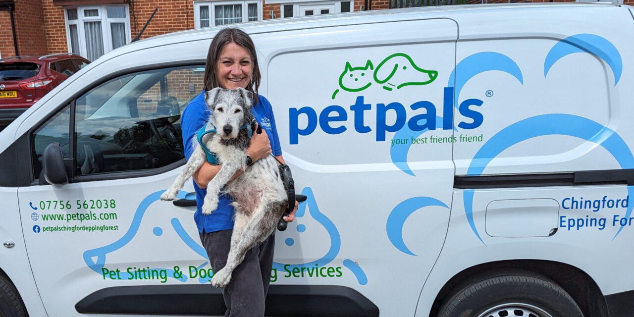 Petpals Chingford Celebrates 10 Years of Trusted Pet Care