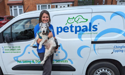 Petpals Chingford Celebrates 10 Years of Trusted Pet Care