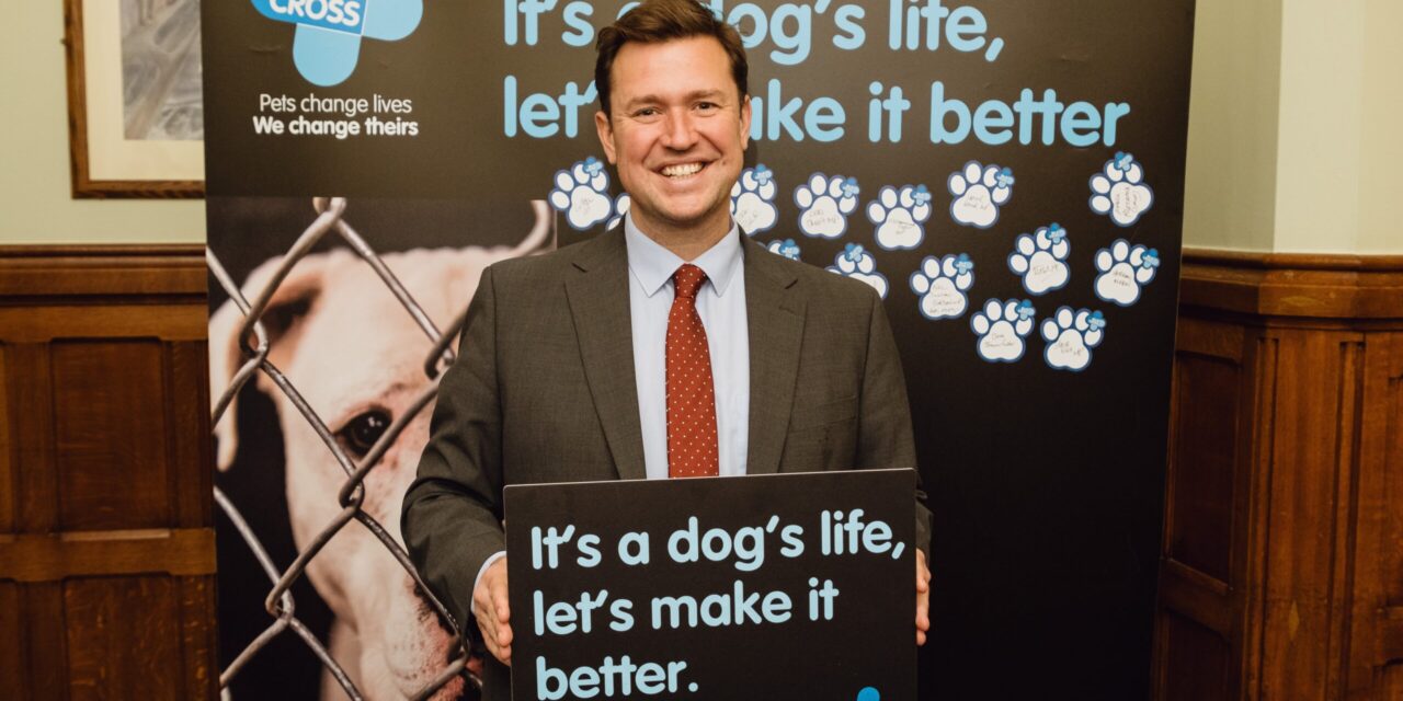 MPs Support Blue Cross Call for Improved Dog Welfare