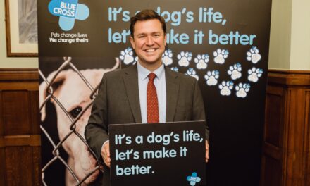 MPs Support Blue Cross Call for Improved Dog Welfare