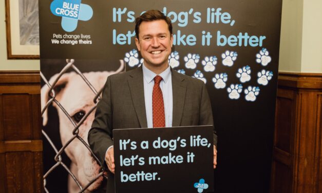 MPs Support Blue Cross Call for Improved Dog Welfare