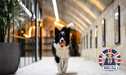 Interaction Launches Search for Britain’s Best Office Dog