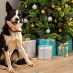 Ring Partners with Dogs Trust to Bring Festive Cheer to Foster Dogs