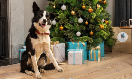 Ring Partners with Dogs Trust to Bring Festive Cheer to Foster Dogs